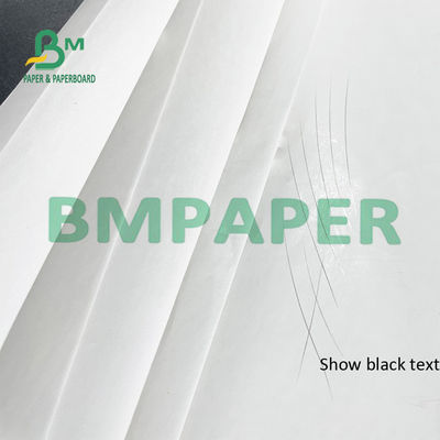 55-G-/Mthermischer Empfangs-Drucker Paper Rolls BPA frei für Position