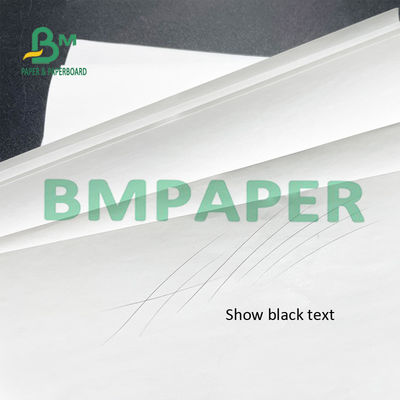 55-G-/Mthermischer Empfangs-Drucker Paper Rolls BPA frei für Position