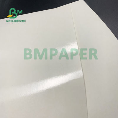 Nahrungsmittelgrad 135gsm+10gsm PET überzogene Schalen-Papierglanz und Matt Finish