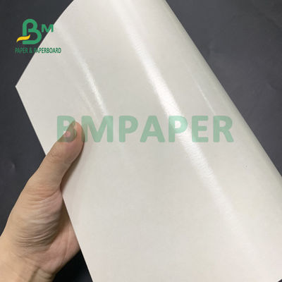 Nahrungsmittelgrad 135gsm+10gsm PET überzogene Schalen-Papierglanz und Matt Finish