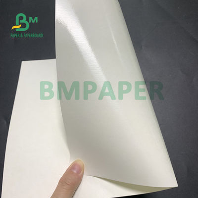 Rohpapier der polyäthylenüberzogenen Schalen-135gsm + 20gsm für Suppenschüssel