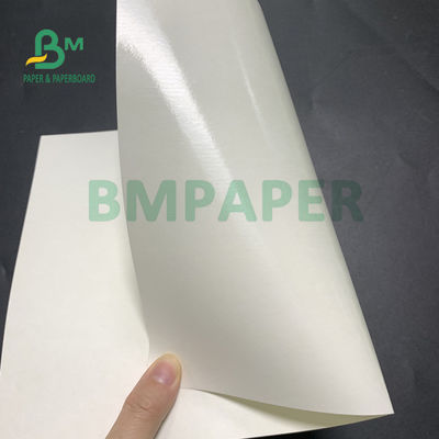 Nahrung150gsm + 10gsm sichere PET überzogene Schalen-Rohpapier für das Trinken
