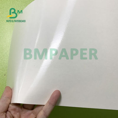 Simplex 180gsm + 18gsm PET beschichtete Schalen-Papier-Blätter imprägniern