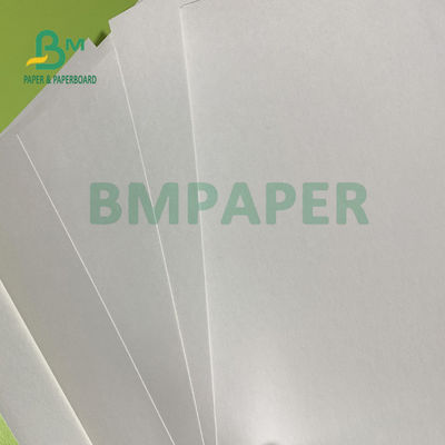 Simplex 180gsm + 18gsm PET beschichtete Schalen-Papier-Blätter imprägniern