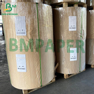 kompostierbares überzogenes weißes Polypapier der Pappe300gsm für Suppenschüsseln