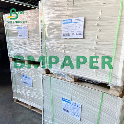 240 Karton 250 G/M Polycoated Cupstock für trockene Essenstablette