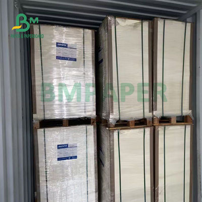 Haltbarkeit 230gsm+15gsm PET beschichtete Schalen-Vorrat-Papier für Suppenschüssel 560mm x 700mm