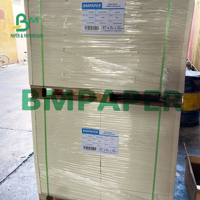 Brett PET 300gsm + 15g Formable Polycoated Cupstock für heißen Kaffee