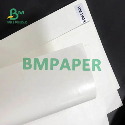 Weiße Schalen-Papierrolle Simplex auf Lager 200gsm + 15PE beschichtet für Papierschale