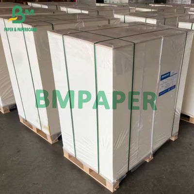 Bleichmittel-Papp-Faltschachtel Papier-Rolls des 635mm Breiten-FBB Brett-275g 300g GC1