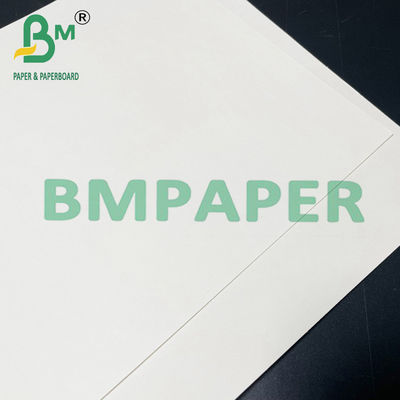Cupstock-Papier Nahrung 190gsm 200gsm 210gsm sicheres für warme Küche