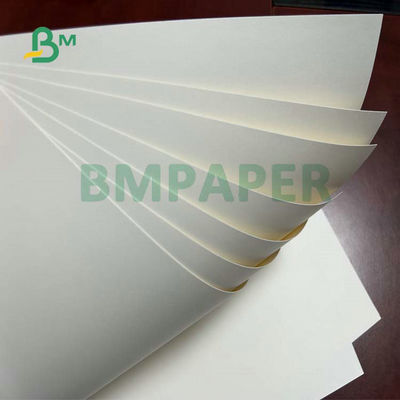 PET 1 PET 2 Beschichtungs-Nudel-Schüssel-Schalen-Vorrat-Karton für Nahrungsmittelbehälter 255gsm 275gsm