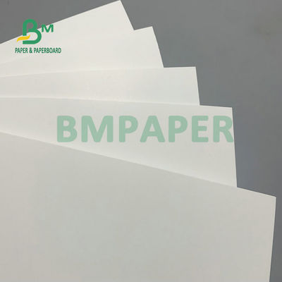 275 gm + 15 gm PE-Polyboard 1 Seiten PE-Beschichtete Gefrierplatte Gefrierplatte für Tiefkühlprodukte