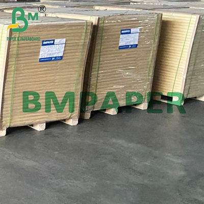15&quot; x 1000&quot; Weißes Polyboard 1 Seiten PE-Beschichtetes Papier für Tiefkühlwaren 275g