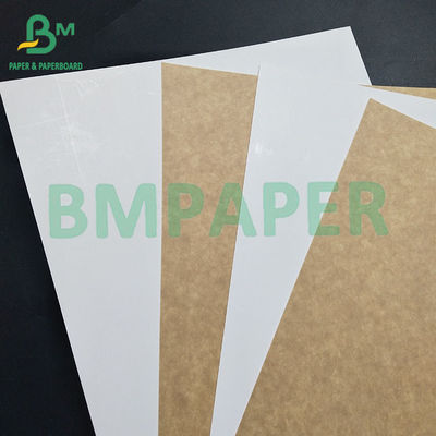 Beschichtete Kraftrückseite Weiße Vorderseite Beschichtete Kraftrückseite Papier Kartonpapier Rollen für Getränkeverpackungen