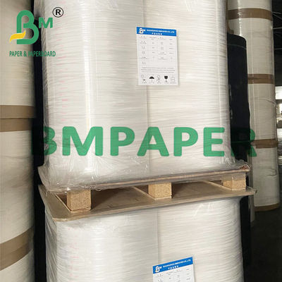 Biologisch abbaubare Zeitungspapierrolle mit 100% recyceltem Papier - 24&quot; x 1700&quot; zum Verpacken und Drucken