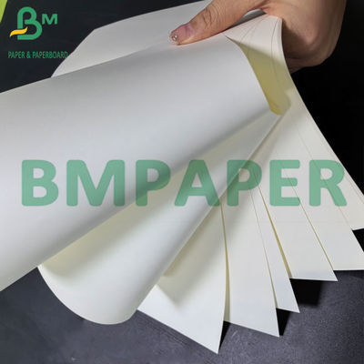 55 gm 60 gm nicht beschichtetes Buchcreme-Farbpapier Elfenbein