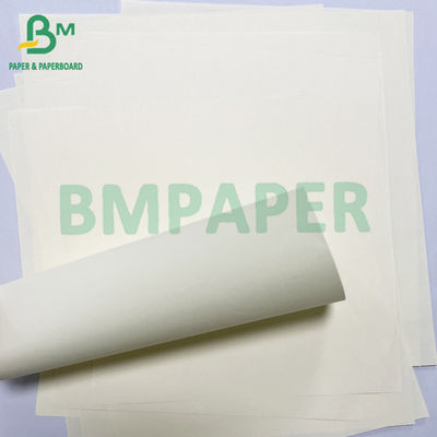 60 lb 80 lb Textbuchdruckcreme UWF nicht beschichtete Offsetpapierrolle