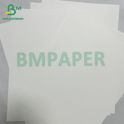 180mic glatte wasserdichte PET synthetische Papier Banner Material