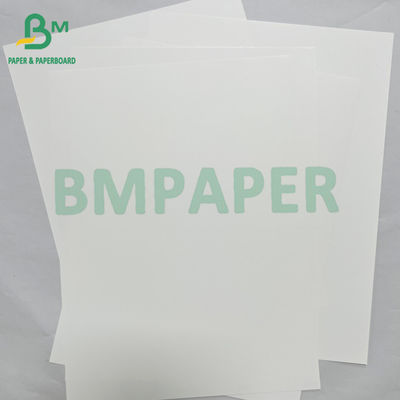 180mic glatte wasserdichte PET synthetische Papier Banner Material