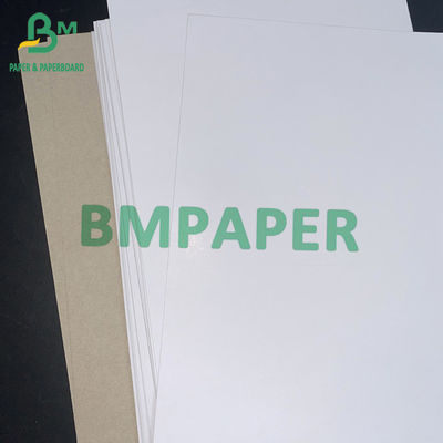 C1S Graue Rückpapierplatte 350gm 450gm 22 x 26 Zoll Marke Jede Marke Jede 100 / 200 Blätter