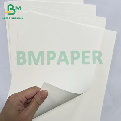 100g 200g recycelbare Lebensmittelwaren Bagasse Zellstoff Weißpapier Rollen
