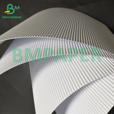 120 +120 GSM 1MM Dicke Weiß Einseitiges Wellplattenbrett mit zwei Schichten