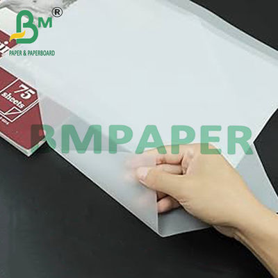 Transluzentes Zeichnungspapier für das Kopierbuch - 500 Blätter / Ramm