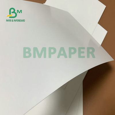 275 gm + 15 gm PE-beschichtetes weißes Kartonblatt 74 x 106 cm für gefrorene Verpackungskisten