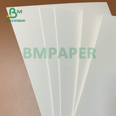 275 gm + 15 gm PE-beschichtetes weißes Kartonblatt 74 x 106 cm für gefrorene Verpackungskisten