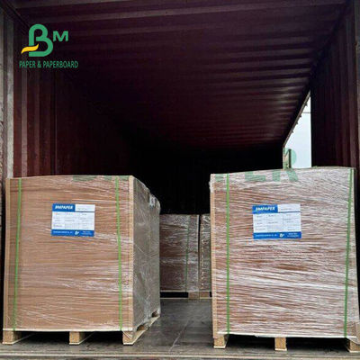 270 gm 300 gm Lebensmittel-Branne Kraftplatte für Lunchboxen 24' x 36'