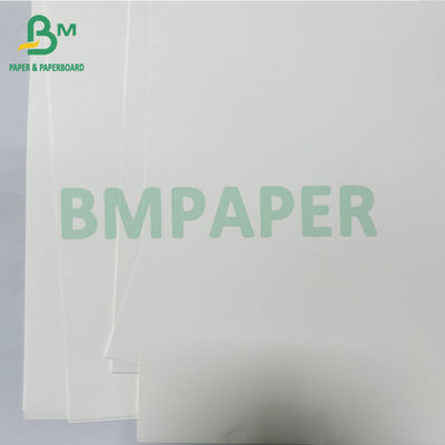 125 Glatte Antibakterielle Thermische Medizinische Kunstpapierrolle