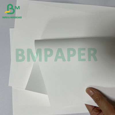 Glatte 180-Mikron-Anti-Allergische Thermische Medizinische Synthetikpapierfolie