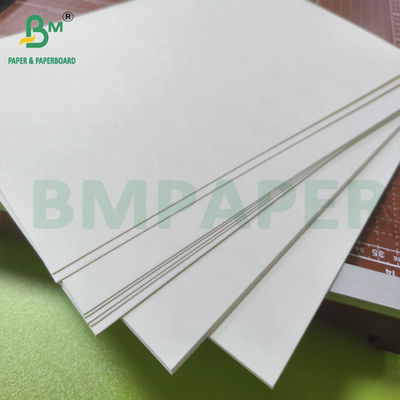 Natürliches, kompostierbares, nicht beschichtetes weißes Papier für Schüsselschalen