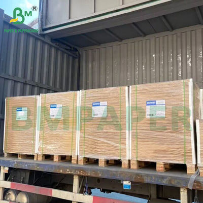 Natürliches, kompostierbares, nicht beschichtetes weißes Papier für Schüsselschalen
