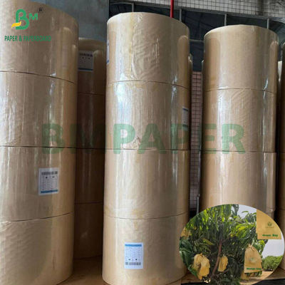 Mango-Schutzbeutel Glanz 30gm Innenblack Papier Roll Sonnendicht
