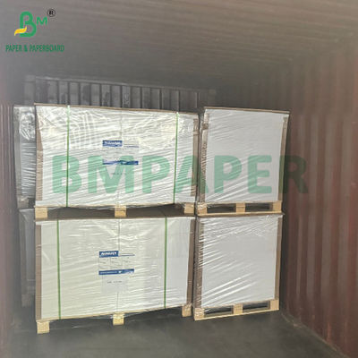 17 gms Farbiges Gewebepapier für Obst Verpackung 50 x 70 cm Leichtgewicht