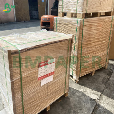 Nichtklebendes Backpapier 40 g Barcecue doppelseitiges Siliziumpapier