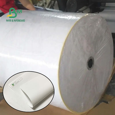 55 gm 790 mm 795 mm Quittung Thermalpapier Jumbo Roll
