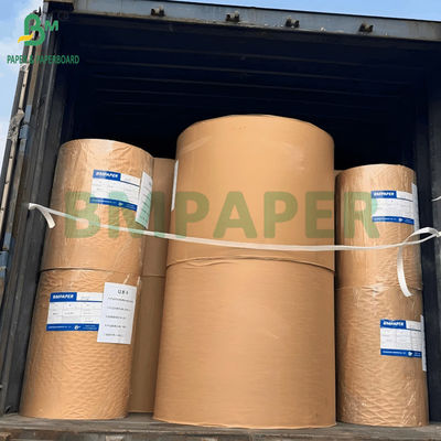 50 gm Weißbleiche Kaffeefilterpapierrolle zur Trennung von Feststoff und Flüssigkeit