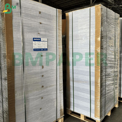 Wasserabsorbierende Papierblätter 1 - 3 mm Umweltschonend