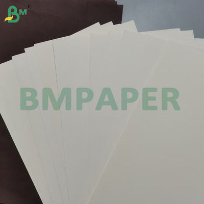 Cupcake Muffin Liner Backpapier Lebensmittelqualität Umweltschonend 80 * 100cm