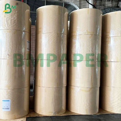 135-350gm Doppelseitig glatte PE-beschichtete Tasse