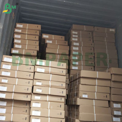 24 lb Doppelblaues CAD-Bond Papier Jungholz Zellstoff