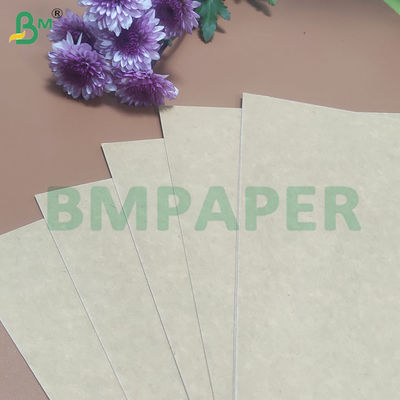 135-350 GSM Hohe Steifigkeit Lebensmittelbehälter Papierrolle für Papierkühlchen