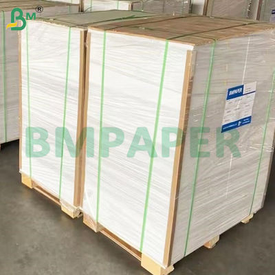 135-350 GSM Hohe Steifigkeit Lebensmittelbehälter Papierrolle für Papierkühlchen