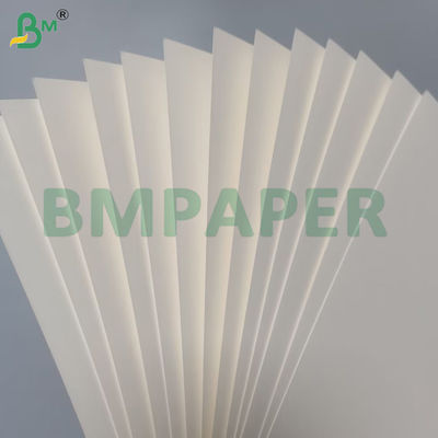 210 g + 15 g PE beschichtetes Schüsselpapier Lebensmittelqualität Jungholzmasse