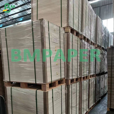 Fettdichtes Pergament Silikon Backpapier Lebensmittelqualität Doppelseitig beschichtet