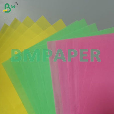 50 g Muffin Liner Backpapier Fettdicht Wasserdicht Lebensmittelqualität