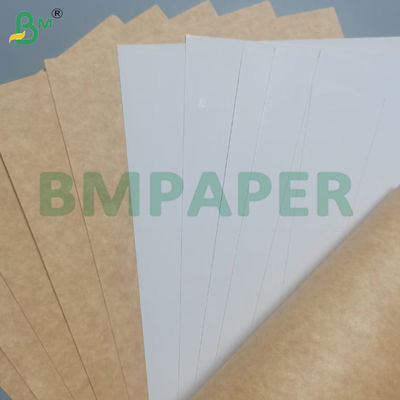 215 - 350 g Einseitig beschichtete Lebensmittel-Bleicherkarte 770 * 1100 mm